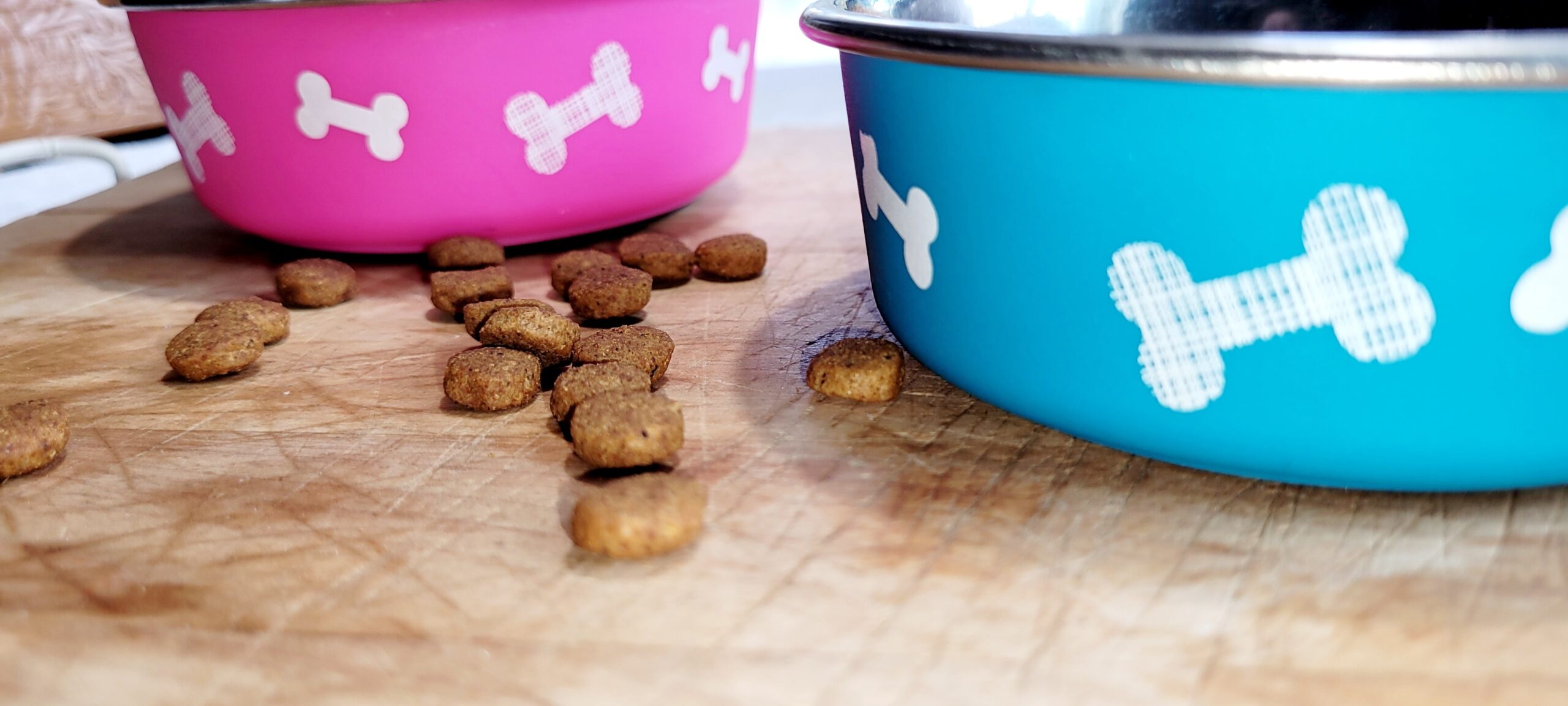 Croquettes chien avec ou sans céréales — free download