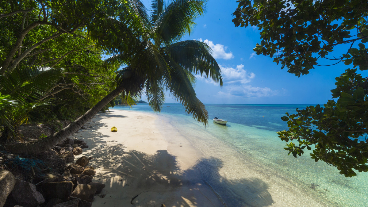 une plage sous le soleil et ciel bleu représentant un paysage paradisiaque
